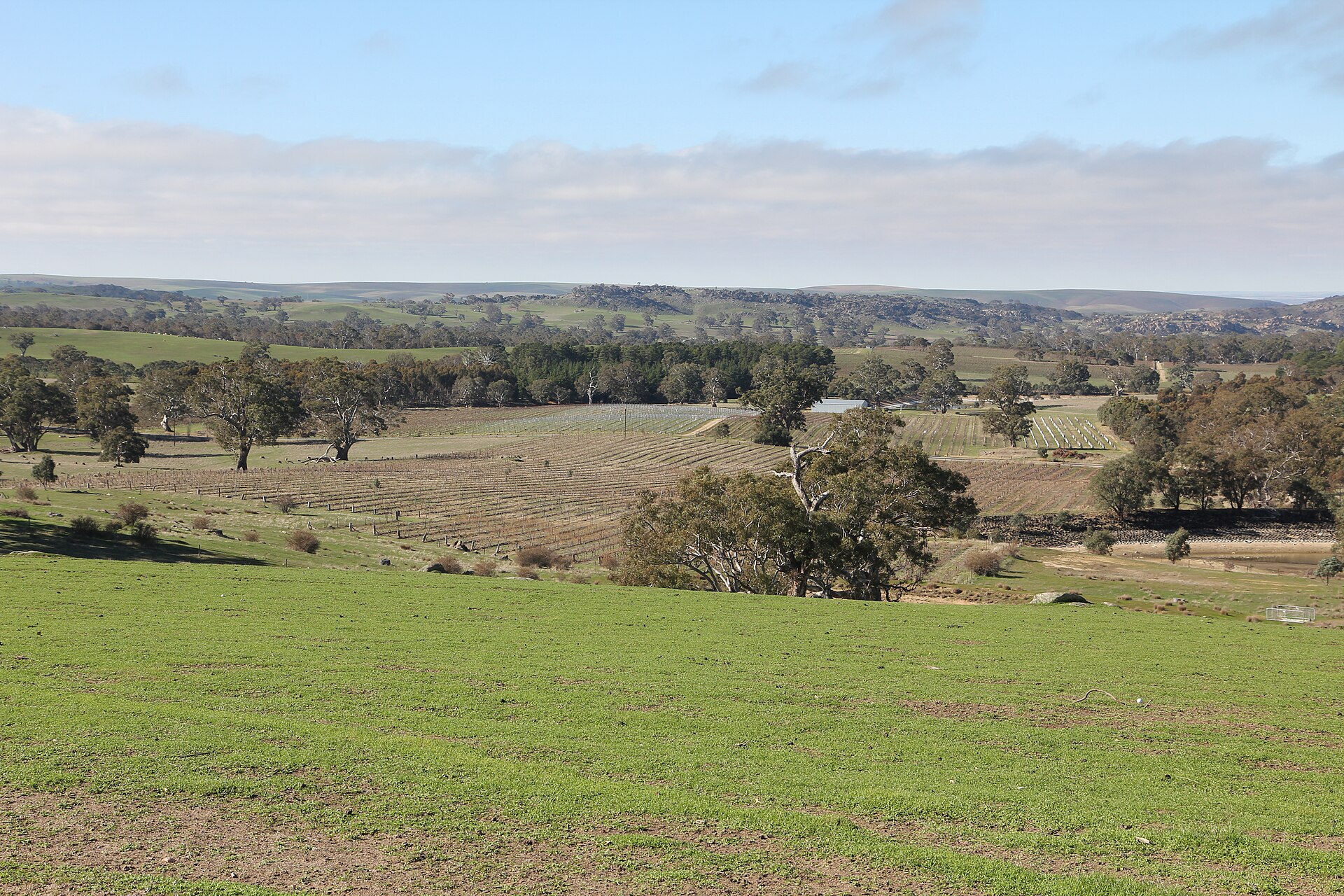 Eden Valley High Country Wine Day