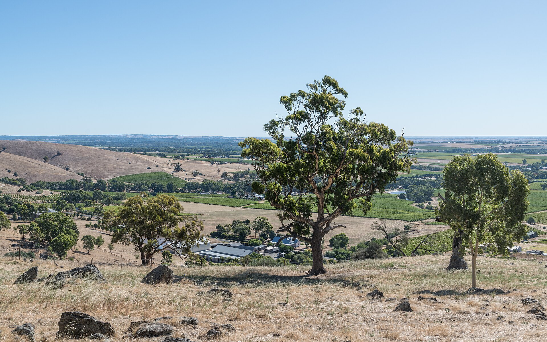 The Best Free Things to Do in the Barossa