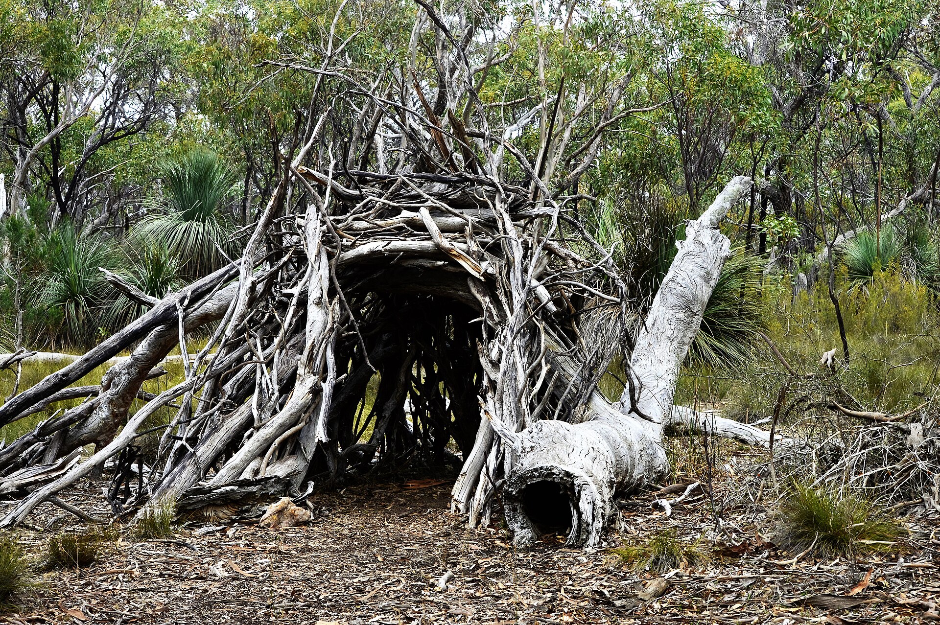 The Best Walking Trails in the Barossa