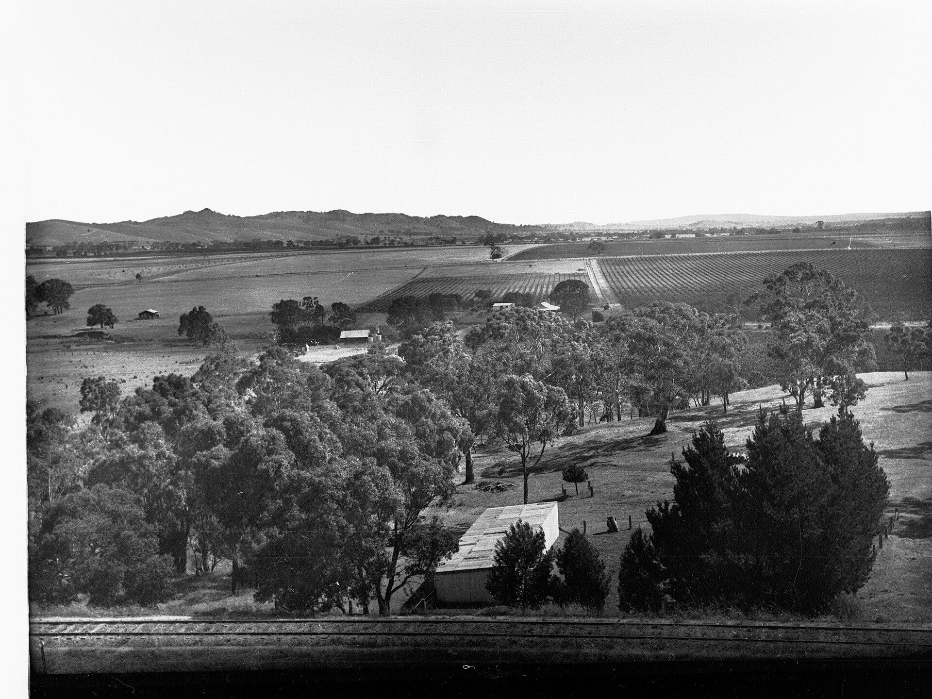Chateau Tanunda