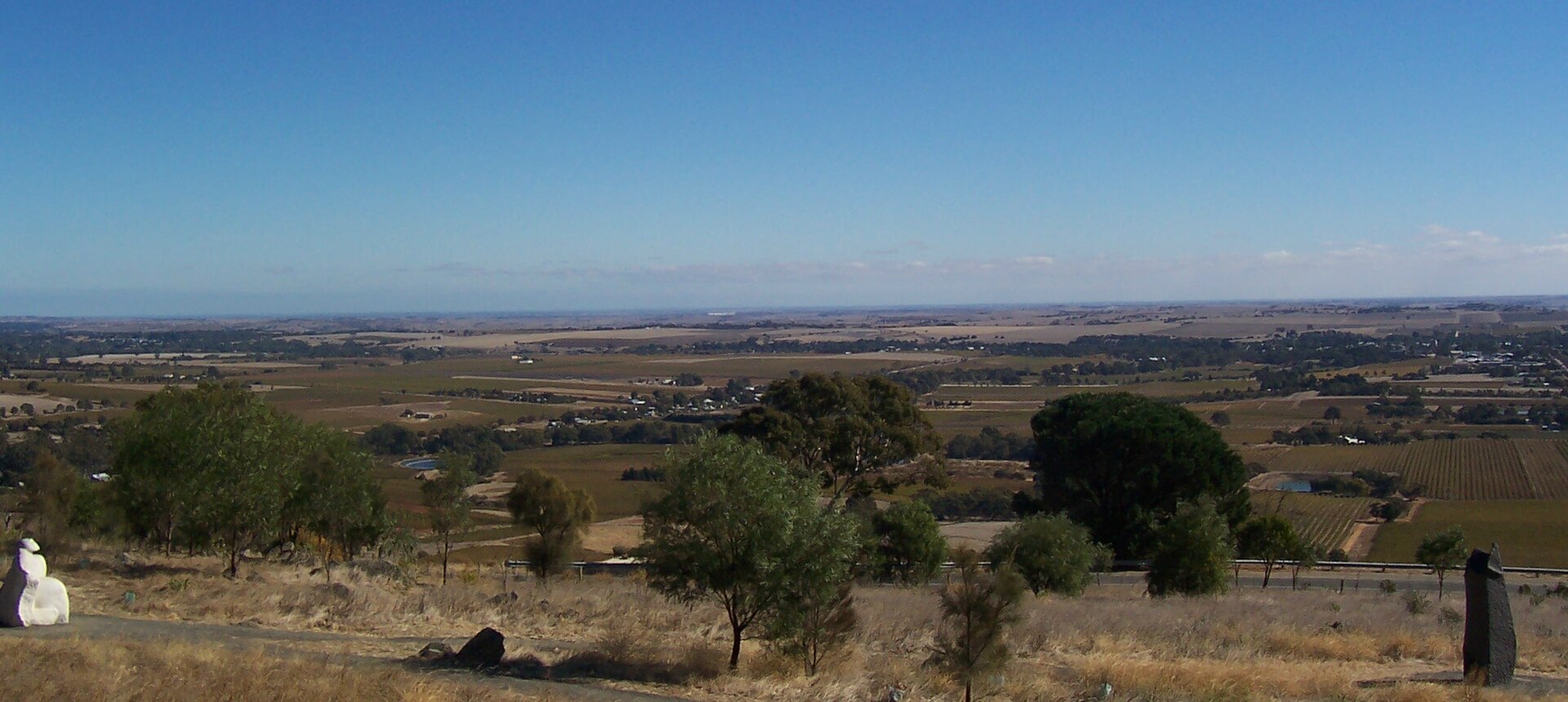 Bethany Wines