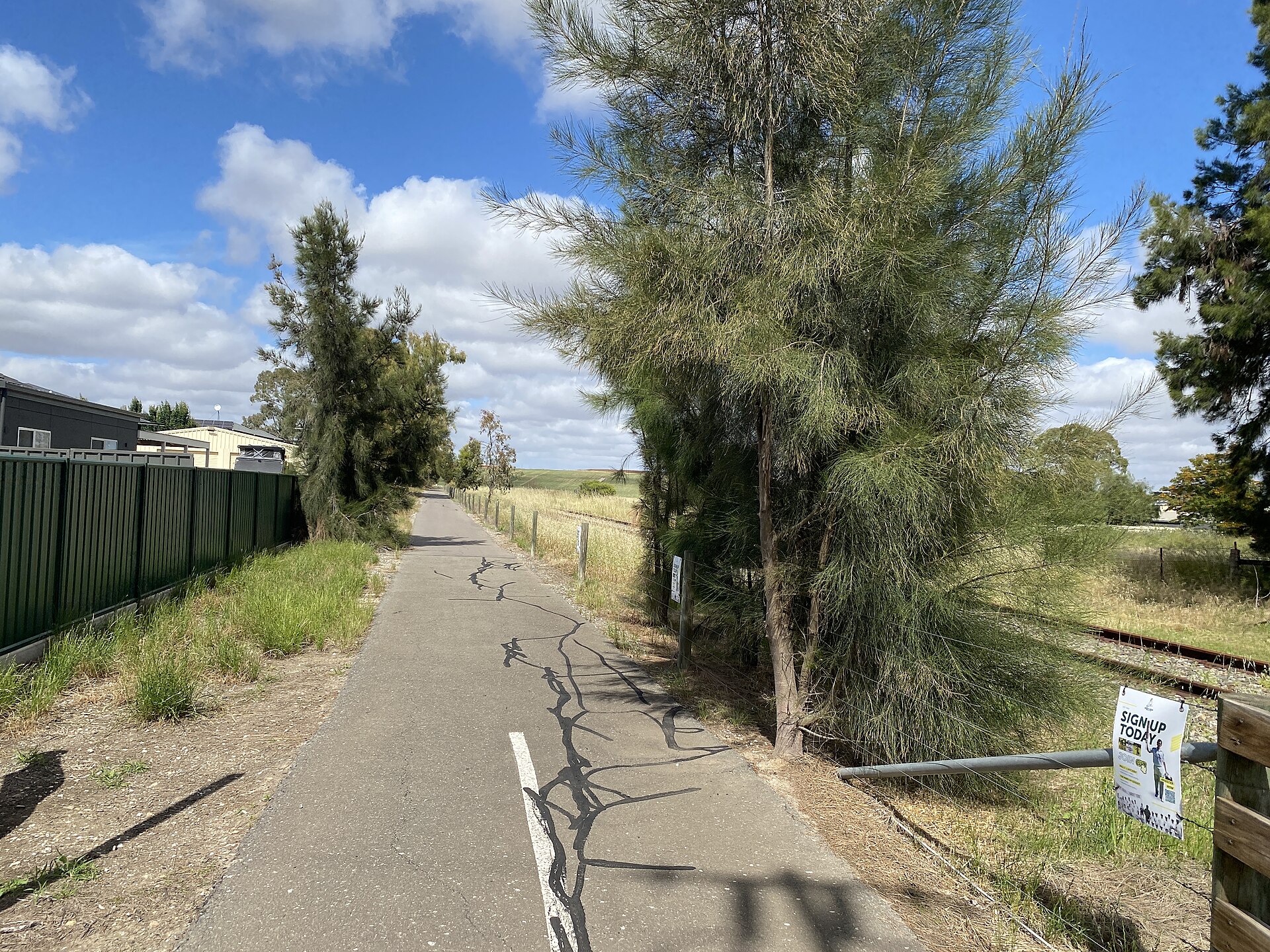 Riding the Barossa Trail